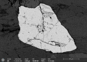 Himalayan rock garnet, demonstrating backscattered electron image