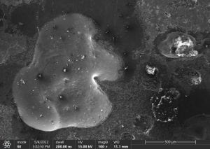 SEM image of tufa mineral