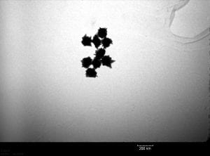 Silver nanoparticles that appear blue in visible light